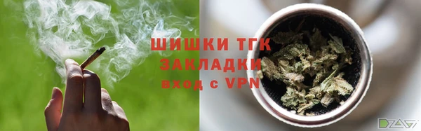прущие грибы Алексин