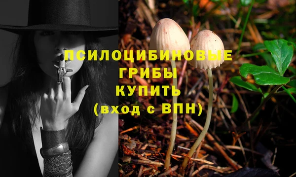 прущие грибы Алексин