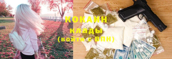 прущие грибы Алексин