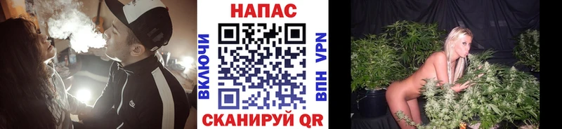 Бошки Шишки ГИДРОПОН  Приморск 